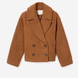 Everlane Brown Pea Coat